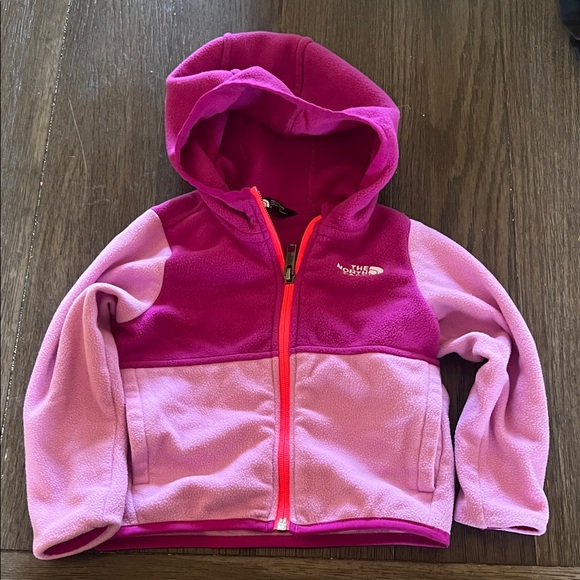 The North Face Other - The North Face Kids' Two-Tone purple Fleece Hoodie